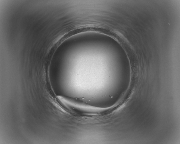 X0000067460969200604071124