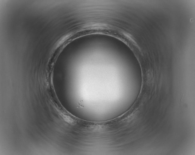 X0000067460970200604071124