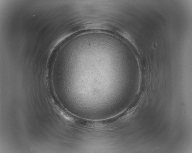 X0000067460971200604071124