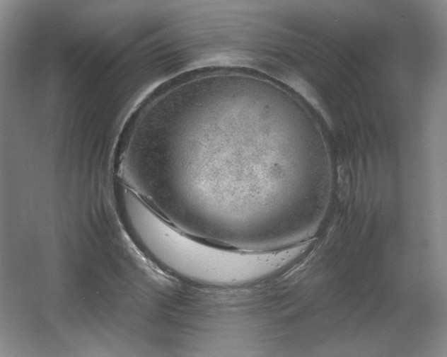 X0000067460972200604071124