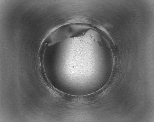 X0000067460973200604071124