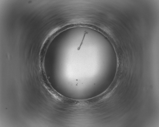 X0000067460974200604071124