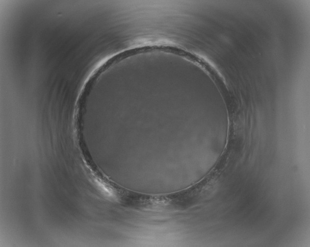 X0000067460975200604071124