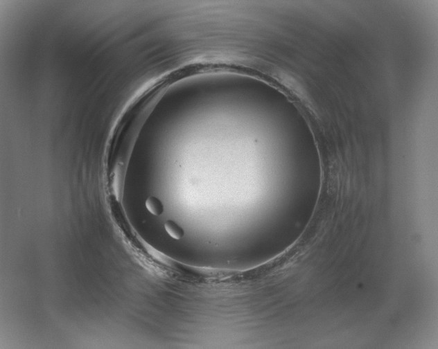 X0000067460976200604071124