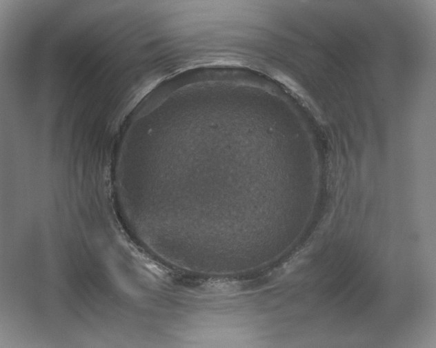 X0000067460977200604071124