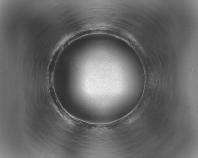 X0000067460978200604071124