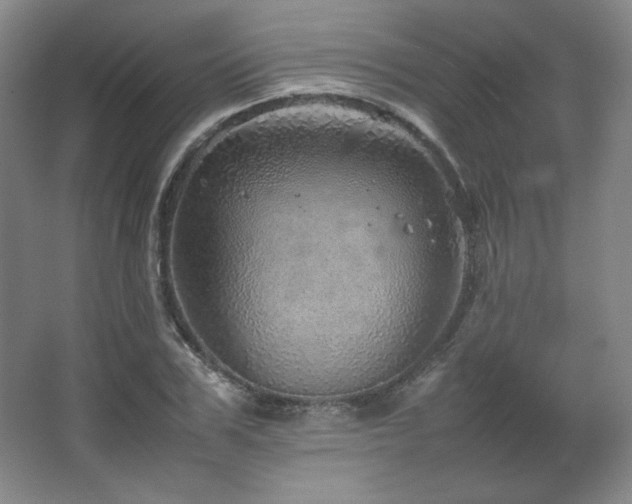 X0000067460979200604071124