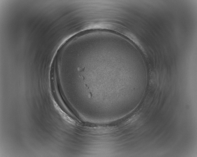 X0000067460980200604071124