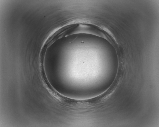 X0000067460981200604071124