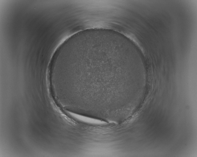 X0000067460983200604071123