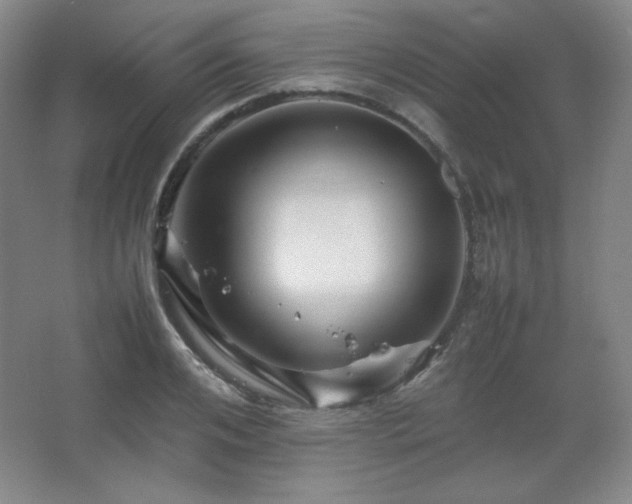 X0000067460984200604071123