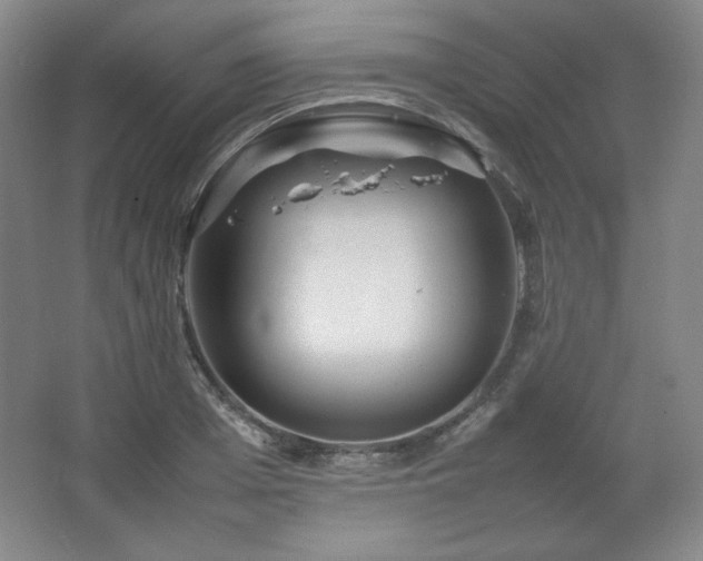 X0000067460985200604071123