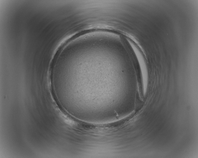 X0000067460987200604071123