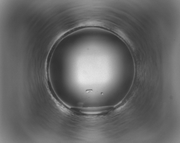 X0000067460988200604071123