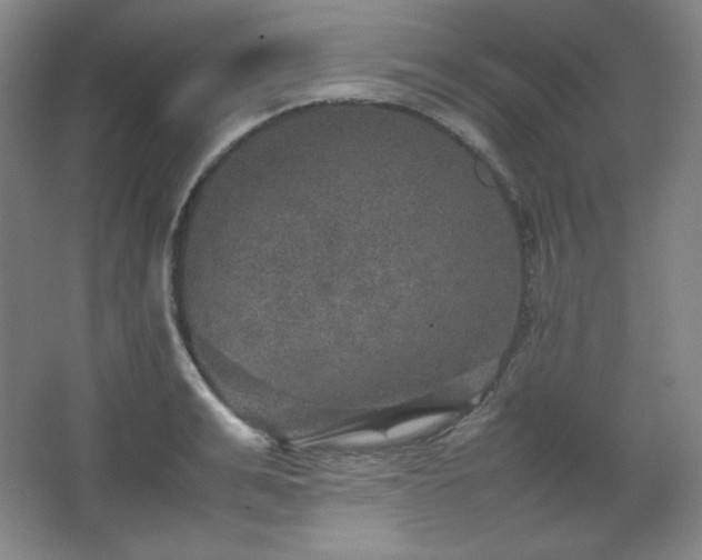 X0000067460991200604071123