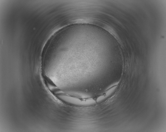 X0000067460992200604071123