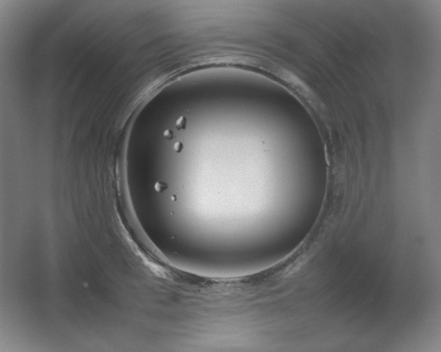 X0000067460993200604071123