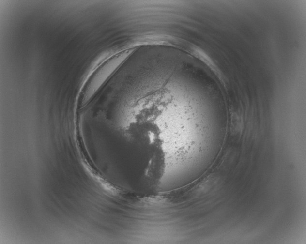 X0000067460994200604071123