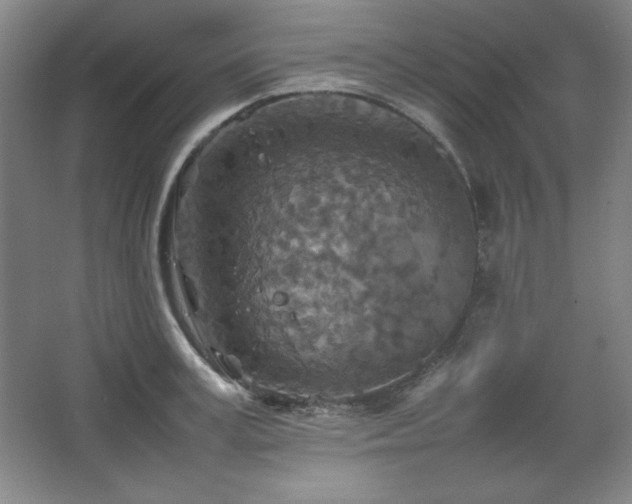 X0000067460995200604071123