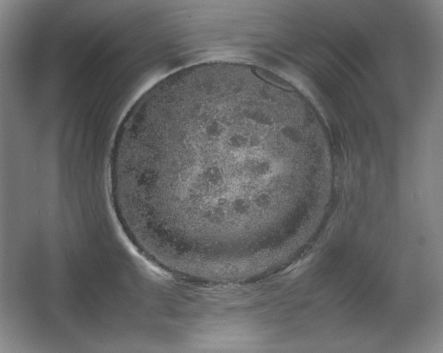 X0000067460999200604071123