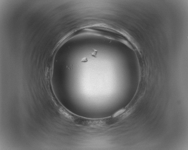 X0000067461001200604071123