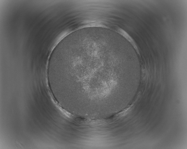 X0000067461002200604071123