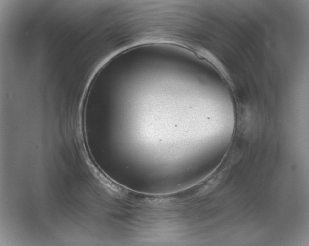 X0000067461004200604071123