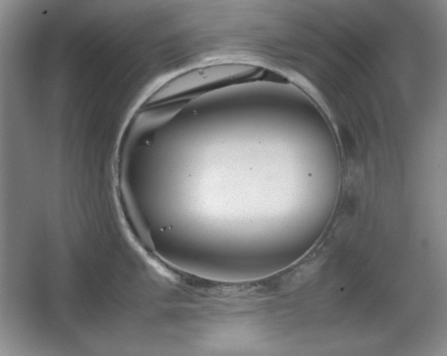 X0000067461005200604071123