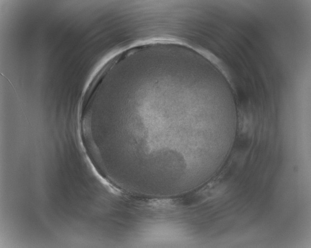 X0000067461006200604071123