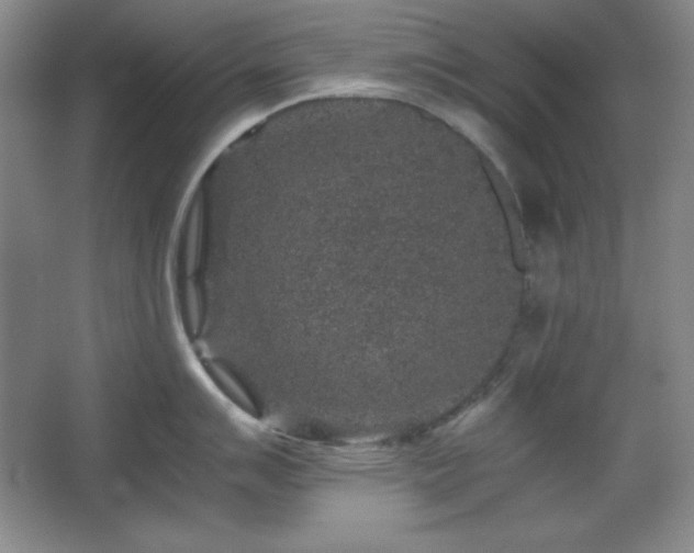 X0000067461007200604071123