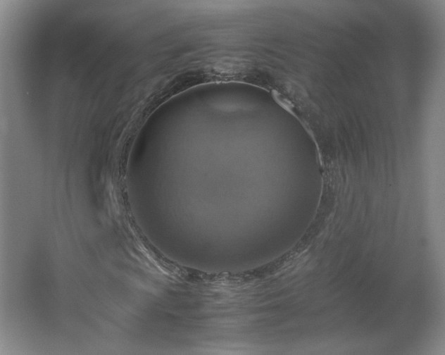 X0000067461009200604071122