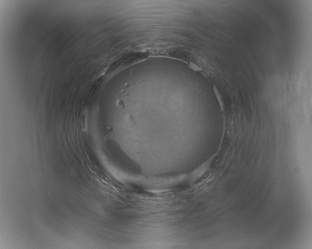 X0000067461010200604071122