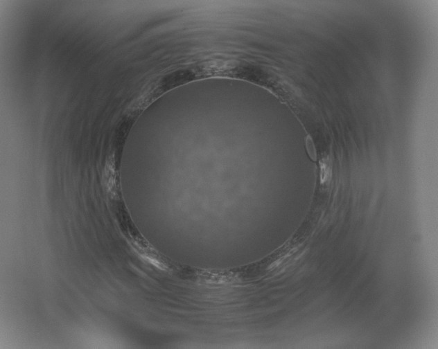 X0000067461011200604071122