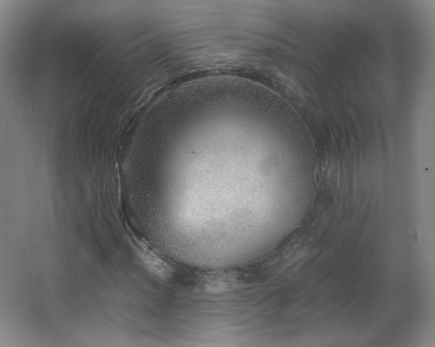 X0000067461012200604071122