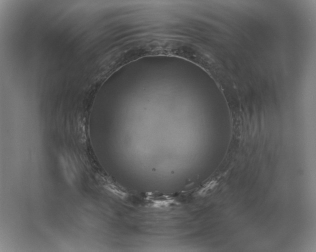 X0000067461013200604071122