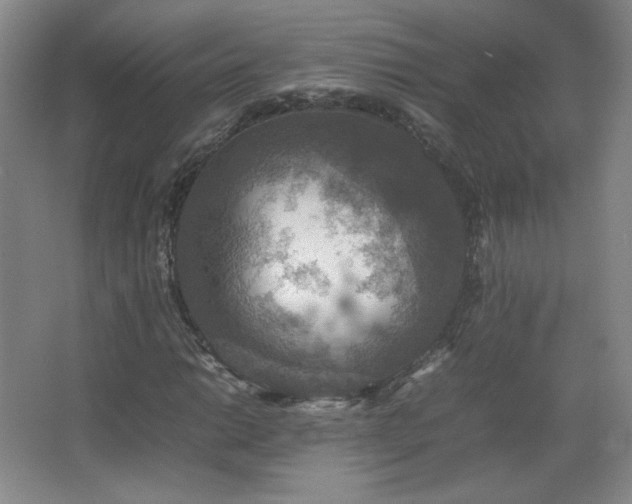 X0000067461014200604071122