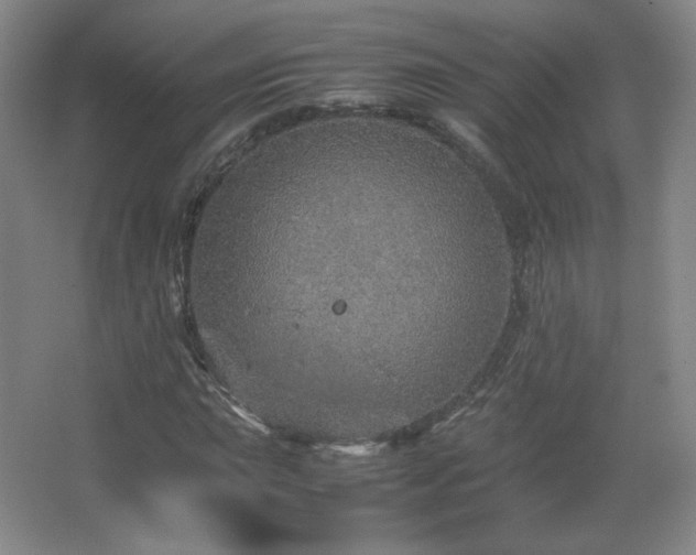 X0000067461015200604071122