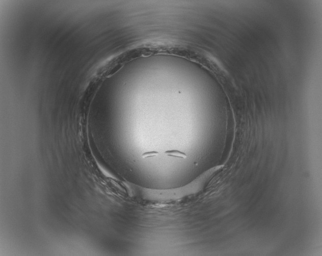 X0000067461016200604071122