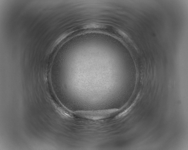 X0000067461017200604071122