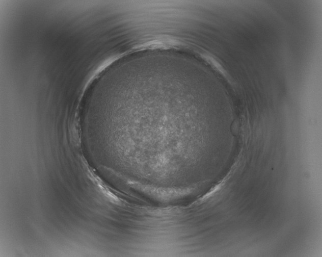 X0000067461018200604071122