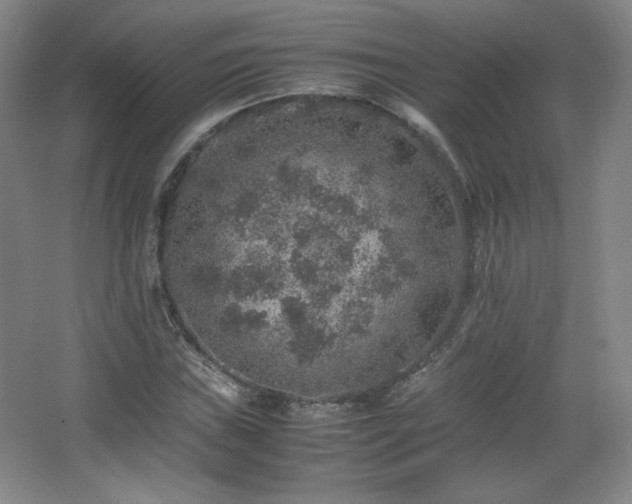 X0000067461019200604071122