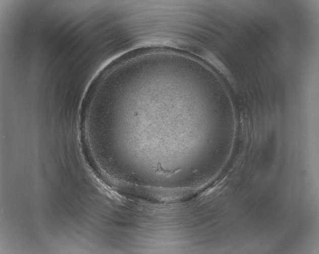 X0000067461020200604071122