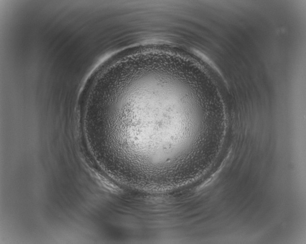 X0000067461021200604071122