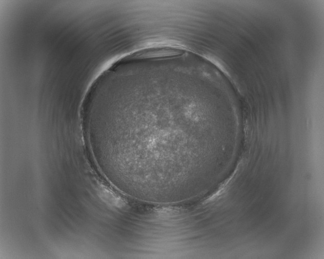 X0000067461022200604071122