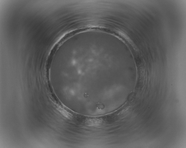 X0000067461023200604071122