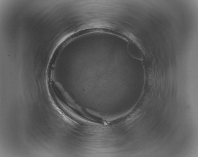 X0000067461024200604071122