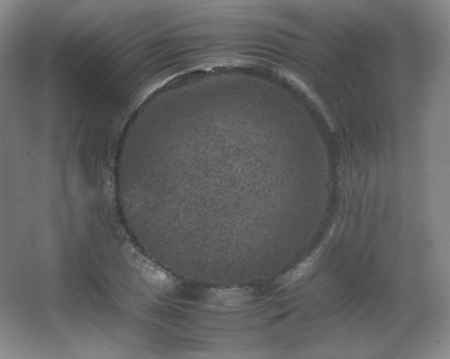 X0000067461025200604071123