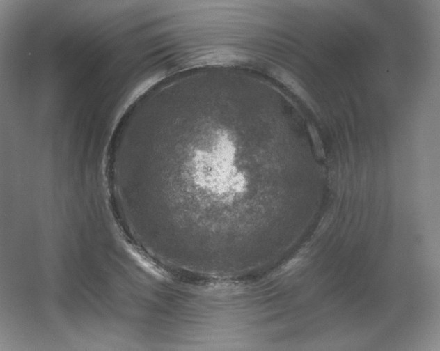 X0000067461026200604071123