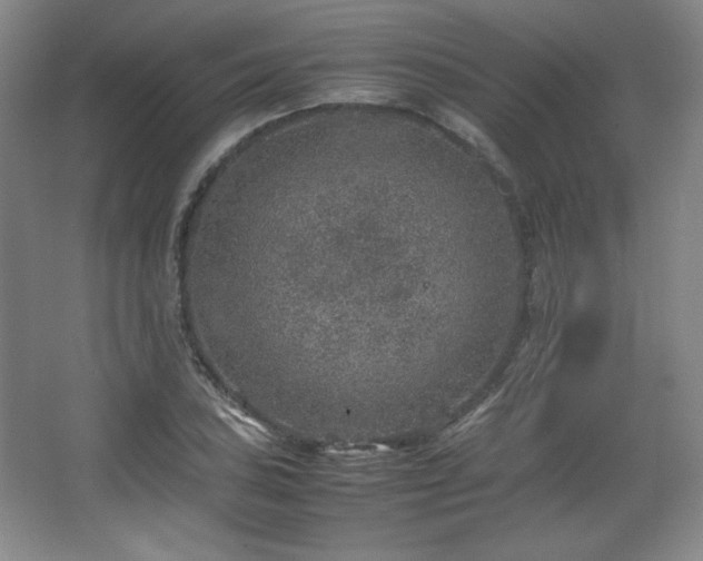 X0000067461027200604071123