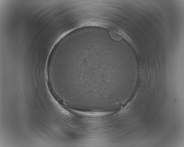 X0000067461028200604071123